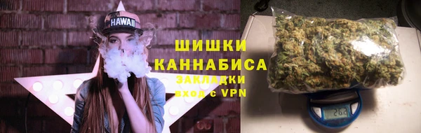 гашик Медногорск