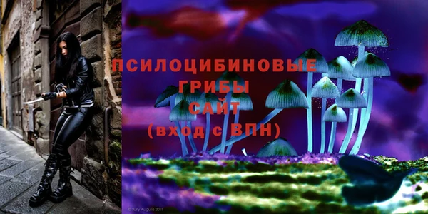 а пвп мука Мегион