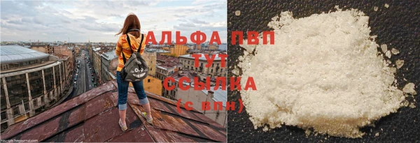 гашик Медногорск