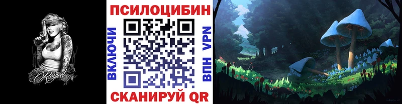 Галлюциногенные грибы ЛСД сколько стоит Тында