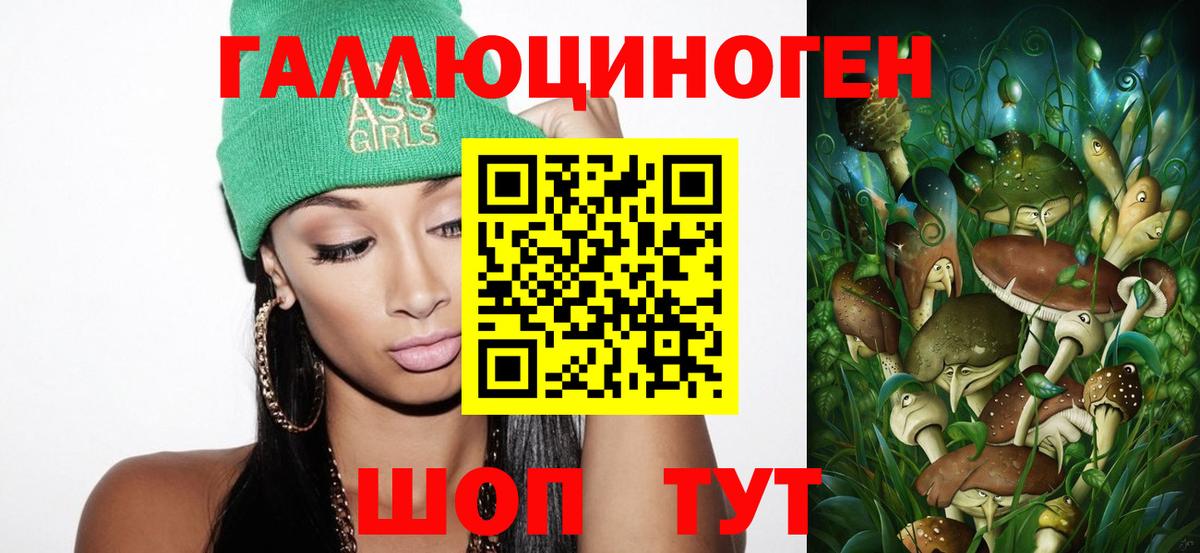 Псилоцибиновые грибы MAGIC MUSHROOMS  купить наркоту  Тында 